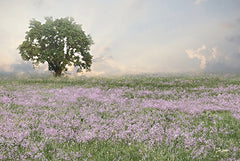 LD3403 - Wildflower Field - 18x12