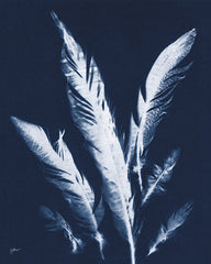 NOR329 - Indigo Feathers II - 12x16