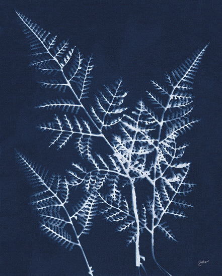 Julie Norkus NOR333 - NOR333 - Indigo Small Ferns - 12x16 Greenery, Ferns, Cyanotypes, Indigo, White, Silhouette, Contemporary from Penny Lane