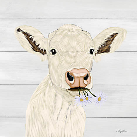 Ashley Justice AJ227 - AJ227 - Opal - 12x12  white calf, daisy in mouth, cute farm animal, floral touch, neutral background from Penny Lane