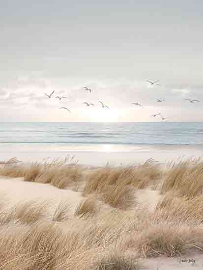 Amber Sterling AS130 - AS130 - Coastal Dreams V - 12x16 beach grass, coastal scene, seagulls flying, sunrise by ocean, serene seascape, photography style, dune landscape from Penny Lane