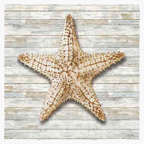 Amber Sterling AS131 - AS131 - Seashells I - 12x12 coastal decor, starfish art, beach theme, rustic wood background, sea life, oceanic symbol, natural texture from Penny Lane