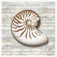 AS132 - Seashells II - 12x12