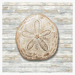 AS133 - Seashells III - 12x12