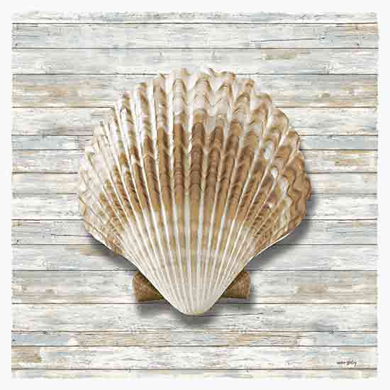 Amber Sterling AS134 - AS134 - Seashells IV - 12x12 scallop shell, beach decor, oceanic texture, vintage wood background, seaside theme, natural marine shell, rustic coastal wall art from Penny Lane