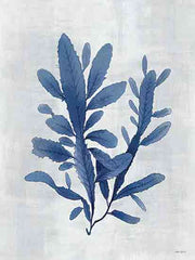 AS135 - Sea Algae I - 12x16