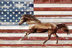 AS148 - American Horse - 18x12