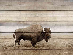AS150 - Rustic Bison - 16x12