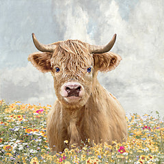 AS326 - Wildflower Highland - 12x12