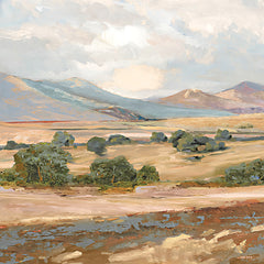 AS330 - Southwestern Dreams I - 12x12