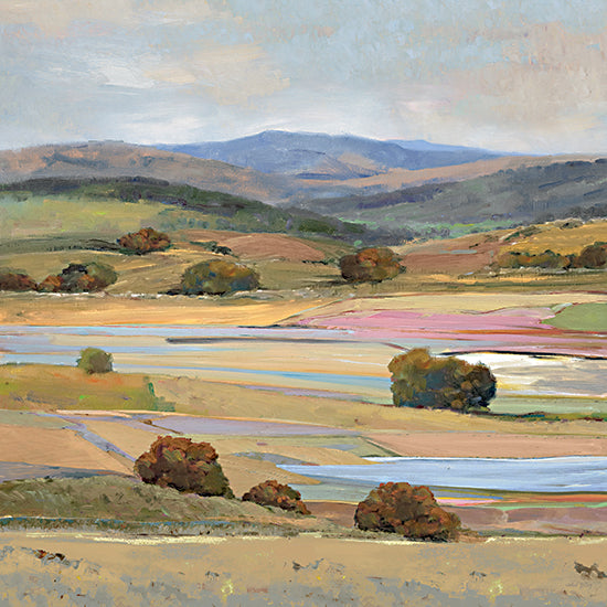 Amber Sterling AS331 - Southwestern Dreams II - 12x12 spring bloom, patchwork fields, colorful landscape, rural setting, panoramic view, blooming trees, seasonal renewal from Penny Lane