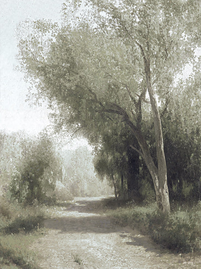 Amber Sterling AS371 - AS371 - Nature Walkway - 12x16 realistic nature painting, tree path, morning light, dappled sunlight, forest trail, impressionist style, outdoor serenity, summer greenery from Penny Lane