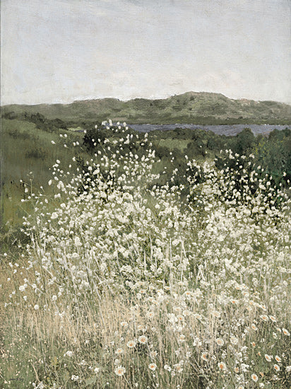 Amber Sterling AS376 - AS376 - Sea of White - 12x16 daisies in wild meadow, hills and lake in background, soft color palette, nature tranquility, natural growth from Penny Lane
