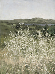 AS376 - Sea of White - 12x16