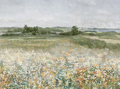 AS408 - Sun-Kissed Wildflowers - 16x12