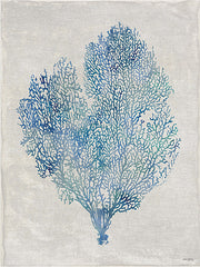 AS436 - Sea Fan - 12x16