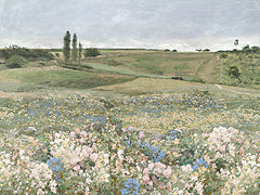 AS453 - Rolling Hills and Endless Dreams - 16x12