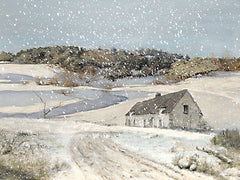AS469 - Snowy Silence - 16x12