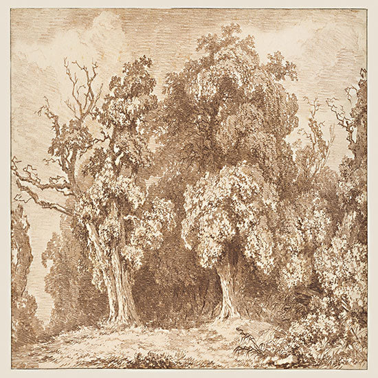 Amber Sterling AS479 - AS479 - Shady Retreat - 12x12 sepia woodland sketch, pen drawing, antique forest illustration, traditional line art, monochrome woodland, classical rendering from Penny Lane