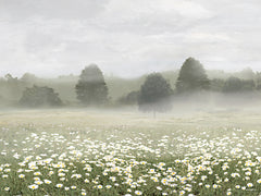 AS494 - Dancing Daisies - 16x12