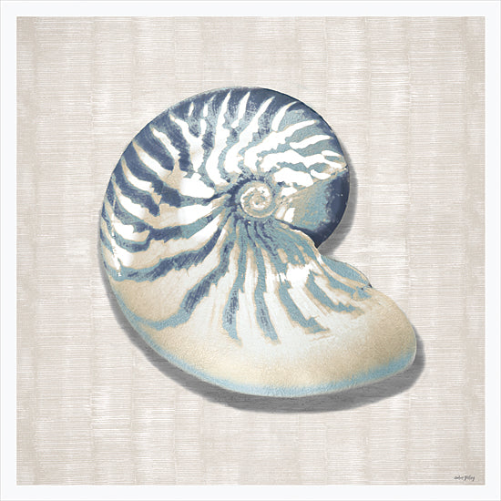 Amber Sterling AS499 - AS499 - Ocean's Spiral Wonder - 12x12 nautilus shell, spiral shell, ocean shell, watercolor marine shell, beach decor, natural texture, seashell art, blue and cream tones from Penny Lane
