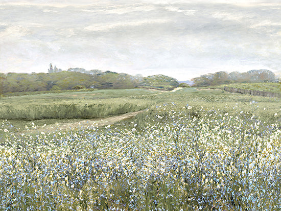 Amber Sterling AS507 - AS507 - Quiet Meadow Path - 16x12 wildflowers, spring meadow, grassy path, countryside, overcast sky, soft pastel tones, tranquil landscape, impressionist style from Penny Lane