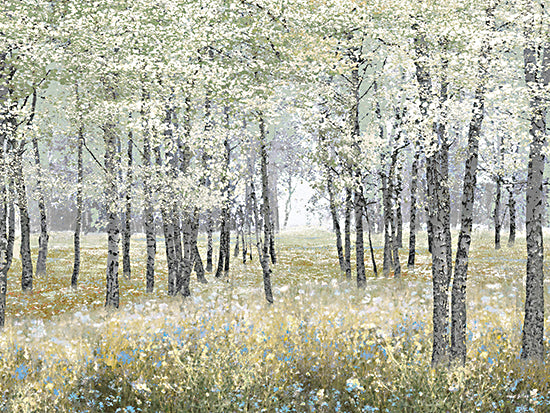 Amber Sterling AS527 - AS527 - The Forest's Soft Bloom - 16x12 spring forest, birch trees, woodland, wildflowers, meadow, white blossoms, soft light, misty woods, tranquil, nature, painterly, botanical, serene, green foliage from Penny Lane
