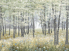 AS527 - The Forest's Soft Bloom - 16x12
