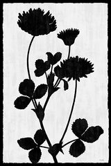 AS618 - Inverted Garden I - 12x18