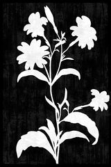 AS619 - Inverted Garden II - 12x18