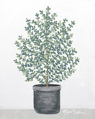 BAKE367 - Potted Patience II - 12x16