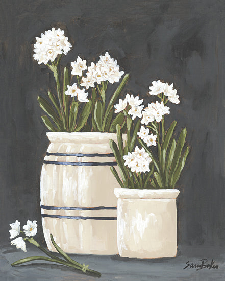 Sara Baker BAKE370 - BAKE370 - Vintage Crocks and Paperwhites - 12x16 White flowers in ceramic vases, dark background, farmhouse decor, painterly still life, spring floral arrangement, rustic elegance from Penny Lane