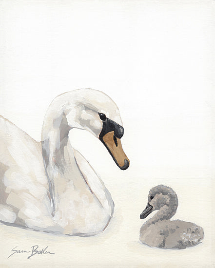Sara Baker BAKE397 - BAKE397 - A Swan All Along 1 - 12x16 swan, cygnet, bird, parent and child, bonding, nature, white background, graceful, elegant, wildlife, animal art, family, gentle scene, aquatic bird, nurturing moment from Penny Lane