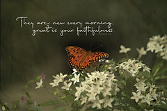 BOY783 - Great is Your Faithfulness - 18x12