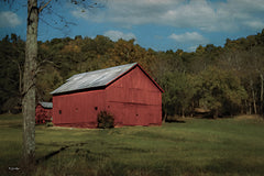 BOY786 - The Red Barn - 18x12