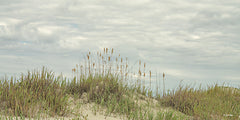 BOY788 - Clouds on the Beach - 18x9