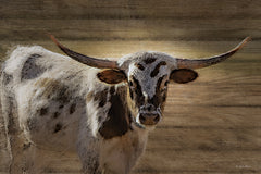 BOY791 - Rugged Beauty - 18x12