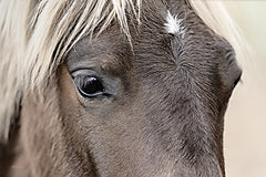 BOY792 - Jackson - 18x12