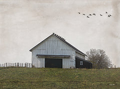 BOY794 - Countryside Calm   - 16x12