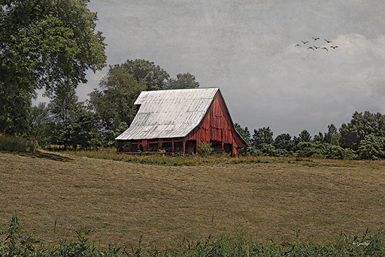 Susie Boyer BOY797 - BOY797 - Echoes of the Past     - 18x12 red barn, rustic farm building, countryside, rural charm, vintage barn, farmhouse style, tree background, scenic nature from Penny Lane