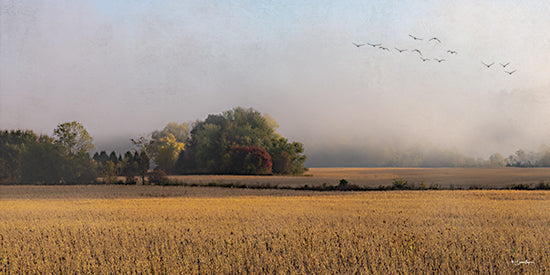 Susie Boyer BOY799 - BOY799 - Flyover - 18x9 autumn field, fog, trees in background, birds flying, peaceful landscape, fall foliage, misty morning, rural scene, golden hour from Penny Lane