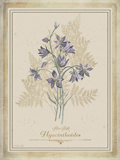 Cindy Jacobs CIN4356 - CIN4356 - Vintage Botanical I - 12x16 bluebells, hyacinthoides, botanical illustration, labeled flower print, vintage floral art, detailed stem and leaf, watercolor flower from Penny Lane