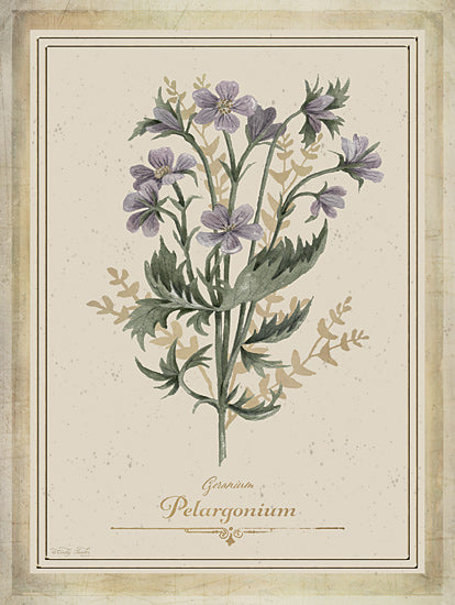 Cindy Jacobs CIN4358 - CIN4358 - Vintage Botanical III - 12x16 geranium, pelargonium, classic floral chart, botanical poster, soft purple blooms, labeled diagram, vintage naturalist art from Penny Lane