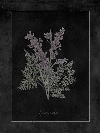Cindy Jacobs CIN4361 - CIN4361 - Lavendar Botanical on Black - 12x16 lavender, dark botanical background, rustic floral print, fragrant herb art, watercolor vintage herb, moody floral from Penny Lane