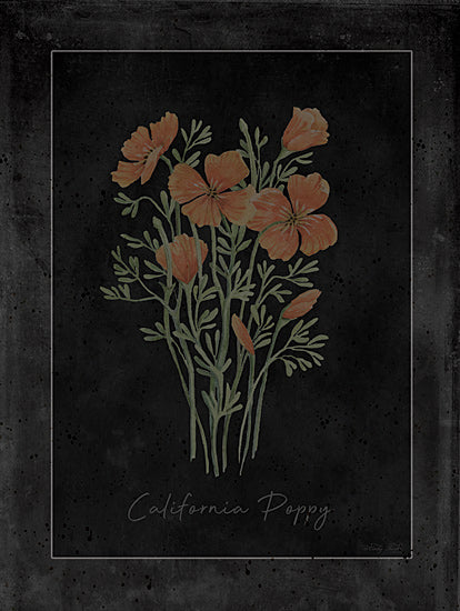 Cindy Jacobs CIN4362 - CIN4362 - Poppy Botanical on Black - 12x16 california poppy, dark botanical art, moody floral poster, orange wildflowers, poppy plant study, rustic floral theme from Penny Lane