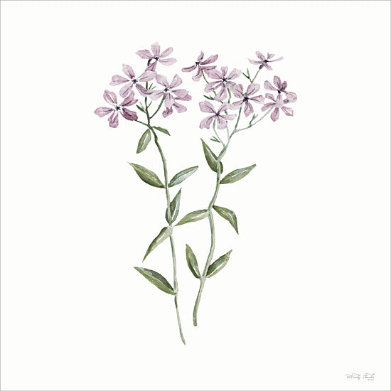 Cindy Jacobs CIN4364 - CIN4364 - Phlox Botanical - 12x12 watercolor, botanical, violet phlox flowers, green leaves, delicate nature art, hand painted, stem detail, floral arrangement from Penny Lane