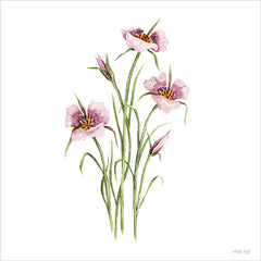 CIN4365 - Mariposa Botanical - 12x12