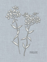 CIN4420 - Embroidered Phlox - 12x16