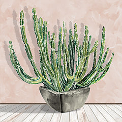 CIN4433 - Prickly Potted Cactus - 12x12
