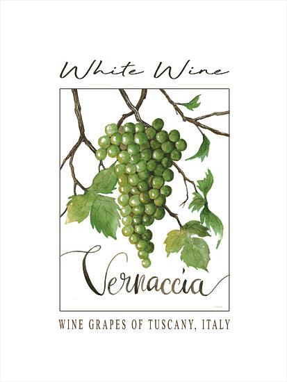 Cindy Jacobs CIN4462 - CIN4462 - White Wine - 12x16 Vernaccia, white wine grapes, Tuscany Italy, watercolor painting, grapevine cluster, Italian vineyard, wine culture, grape illustration, botanical design from Penny Lane